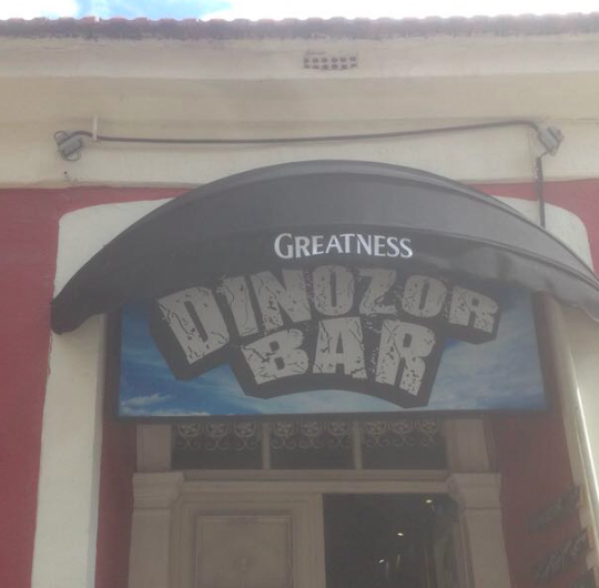 Karpuz Tente Projesi 1